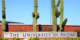 UAccess: Helpful Guide to University of Arizona Portal 2023