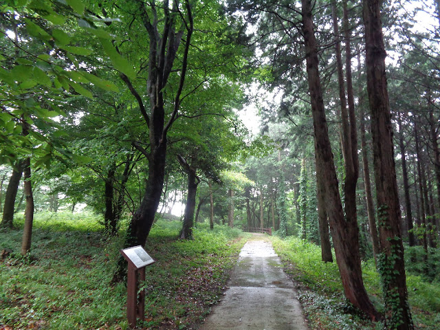 弥生の森　遊歩道