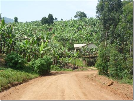 P1050263