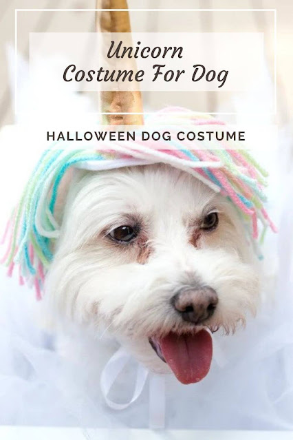 Unicorn Costume For Dog