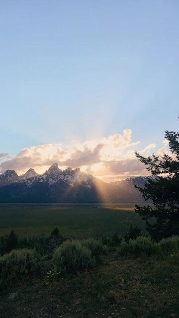 Plano de Fundo Amanhecer Raios de Luz no Campo