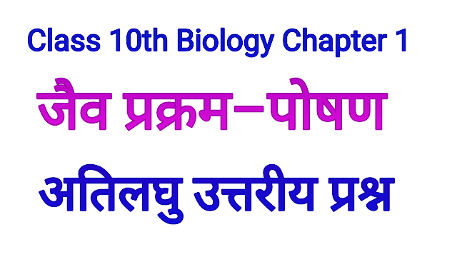 Bharti Bhawan Class 10 Biology Chapter 1 Question Answer