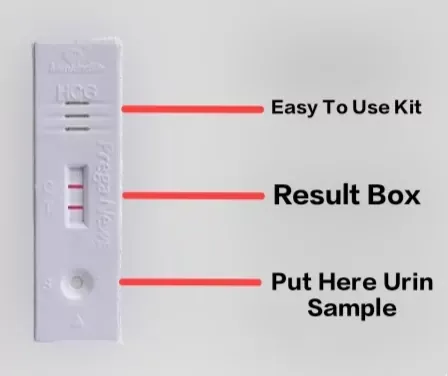 How To Use Prega News In Hindi, Pregnancy Test Kab Kare | Prega News In Hindi, Prega News Kit Use Hindi, How To Use Prega News In Hindi, Prega News Result In Hindi और Prega News Kit