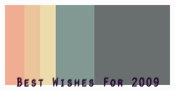 http://www.colourlovers.com/palette/657922/Best_Wishes_For_2009