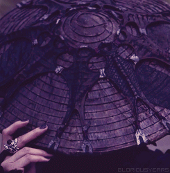 tumblr_niq23tBW5x1rbsgyro1_250