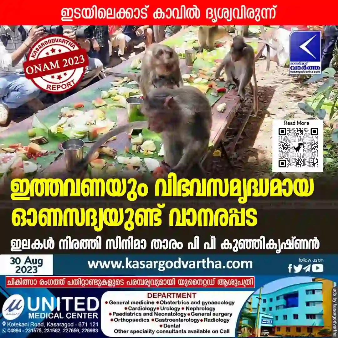Onam, Celebrations, Kerala Festivals, Malayalam News, Onam Sadhya, Onam 2023, Kerala News, Kasaragod News, Malayalam News, Serves Onam sadya to monkeys.