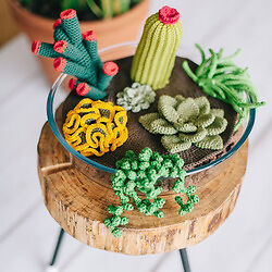 Cactus y suculentas amigurumi