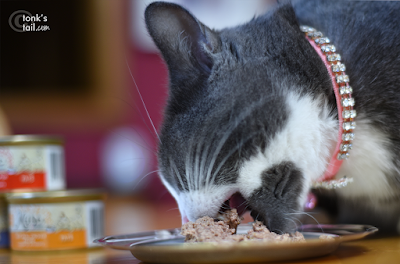 "Don't bother me while I'm eating, Mother!" ~Allie