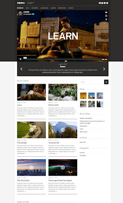 Vidiho-wordpress video Blogging Theme