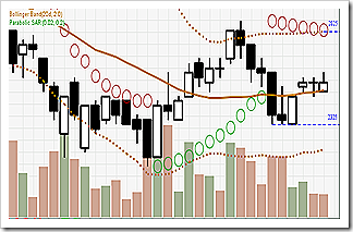 bumi041209-daily