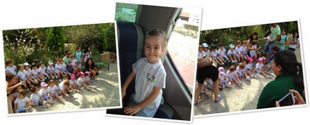 Ver Xevi_Bego_Lola_Saf1