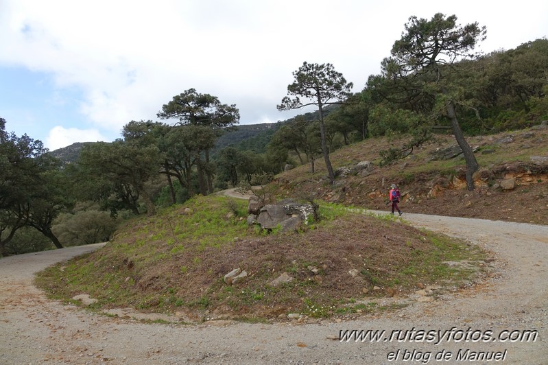 El Bujeo - Pista de la Algamasilla - Puerto de la Higuera - Río Guadalmesí