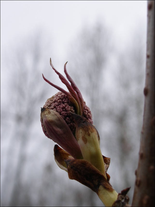 April2009 289