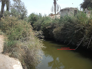 عين السبعه بعزبه الشويب بمركز اطسا من العيون الطبيعيه بالفيوم