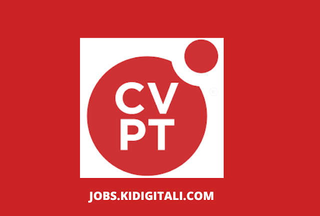 Job at CVPeople Tanzania – Remote Senior Product Designer