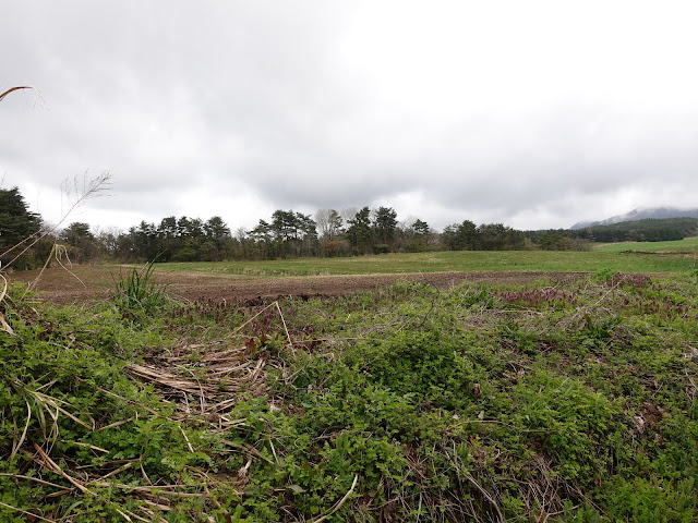 鳥取県西伯郡伯耆町丸山　牧草地