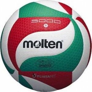 Bola Volley Molten V5M5000