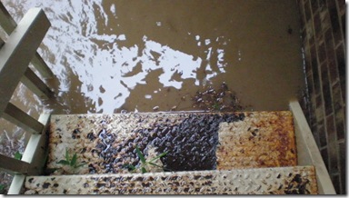 P6300079