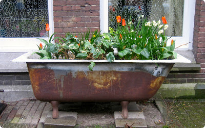 Bañera con flores en Amsterdam