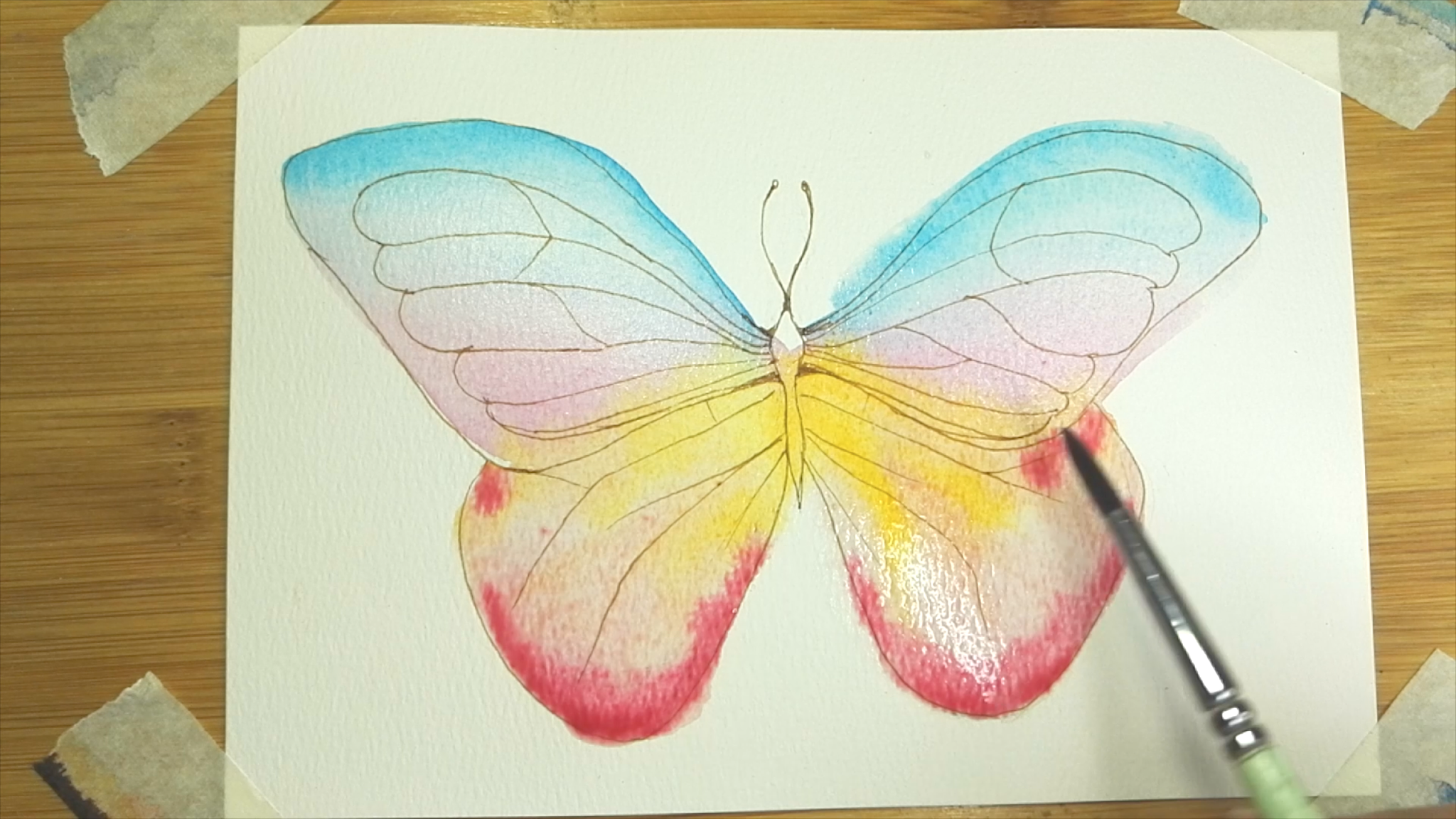 How to draw Watercolor butterfly step by step tutorial easy