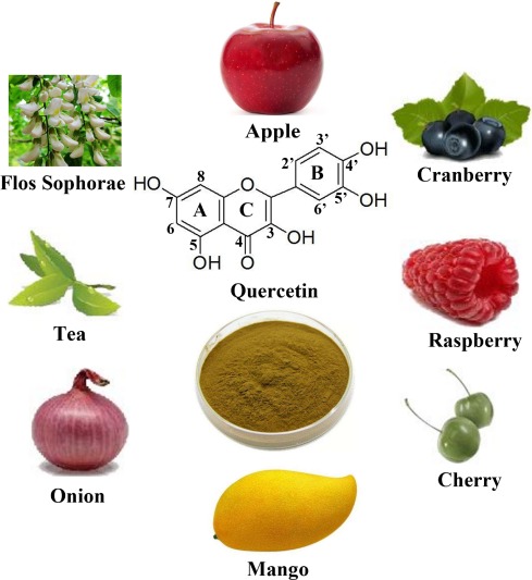 Quercetin