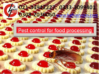 Food Processing Zone Karachi Pest Control