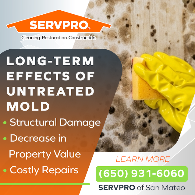 Long-Term Effects of Untreated Mold