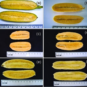 La super Banana