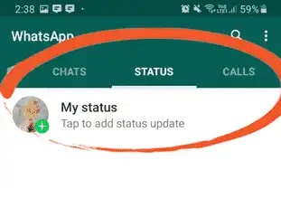 How to see what's app status whitout seen 