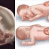 Danh sách các loại rau củ ngăn ngừa 99% dị tật khuyết ống thần kinh, nứt đốt sống cổ ở thai nhi