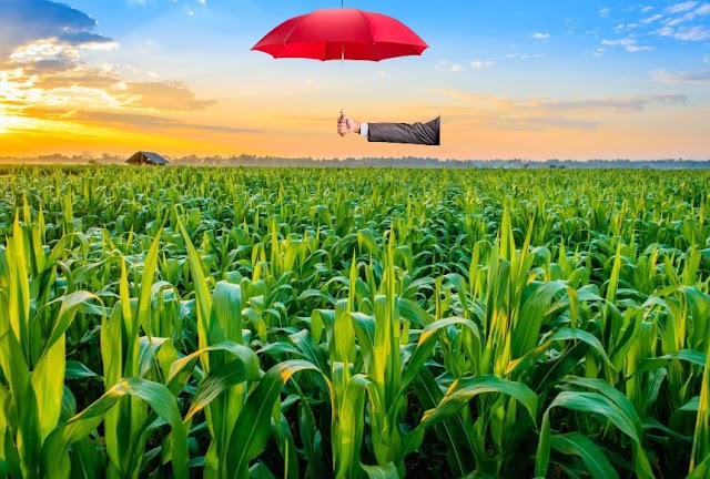 Top 3 Insurance Plans for Farmers | Forelinks Tech