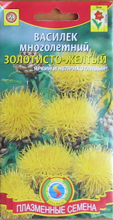 василек желтый - неприхотливое украшение вашего садика