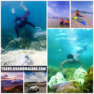 http://www.travelbromomalang.com/2016/06/paket-wisata-bromo-snorkeling-gili.html