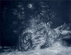 questa opera d'arte di alessia delvecchio è una incisione che si intitola tigri in lotta, this work of art by alessia delvecchio is an engraving titled Tigers in Fight