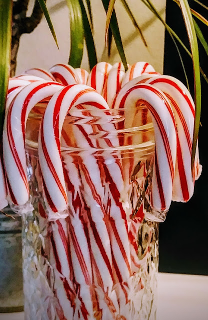 Candy canes help me break my sugar and junk food addiction.