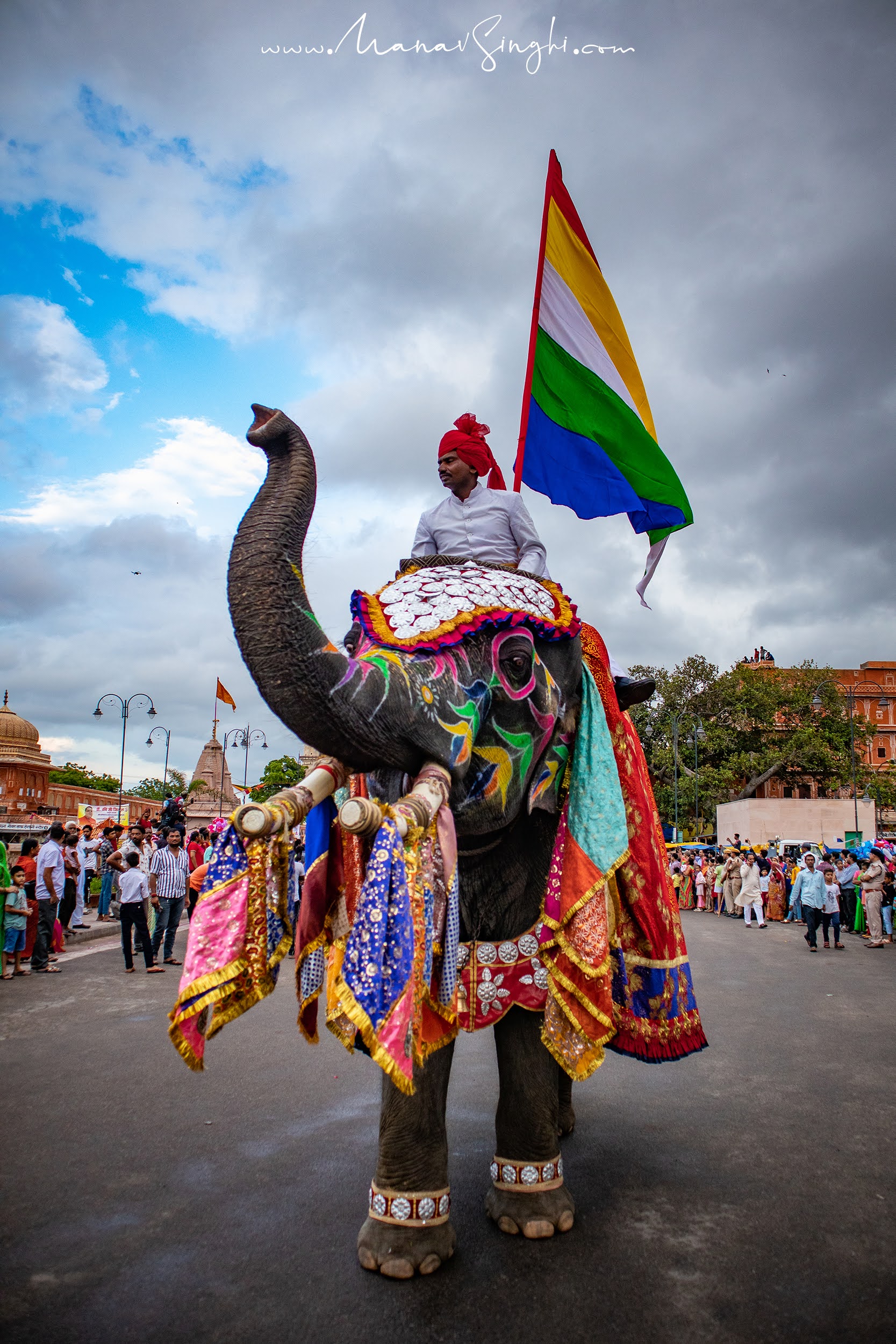 Teej Festival Jaipur Rajasthan 2022 Decorated Elephant