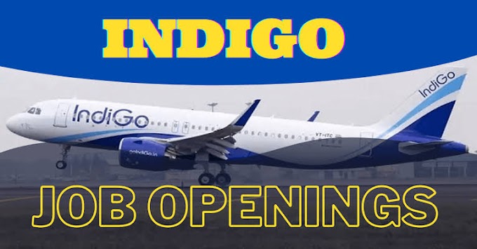 Indigo Jobs Recruitment 2022 | Apply Online For Various Posts In Indigo