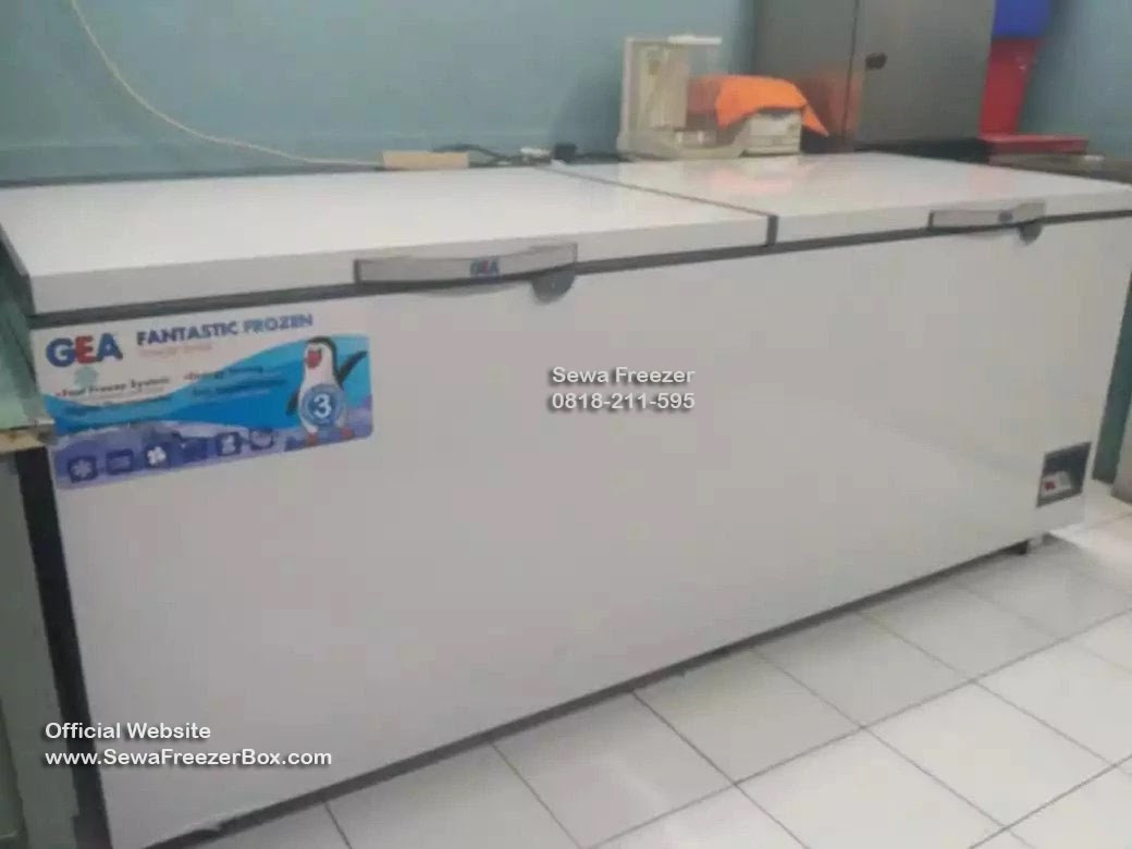 sewa freezer box 1000 liter Sapto Sari Gunung Kidul Yogyakarta