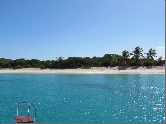 culebra 4 culebrita 006