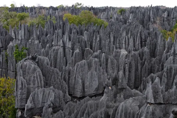 أغرب الأماكن في العالم - غابة تسينجي الحجرية، مدغشقر