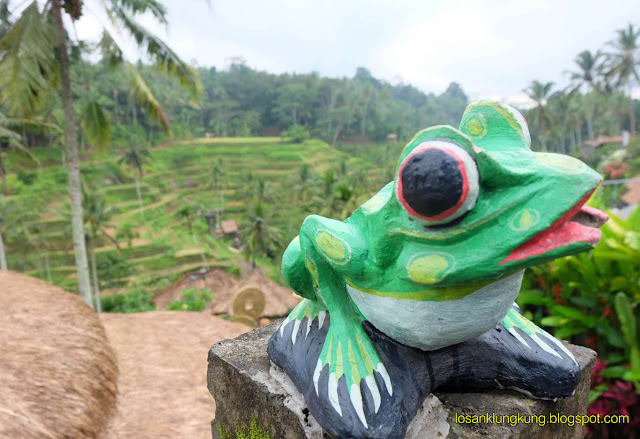 Tegalalang rice terrace 27 November 2018