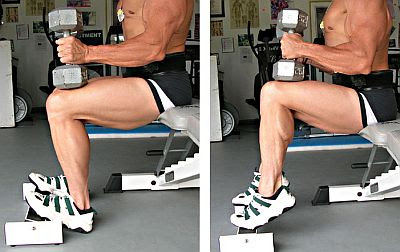 seated calf raises