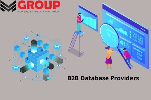 B2B Database Suppliers