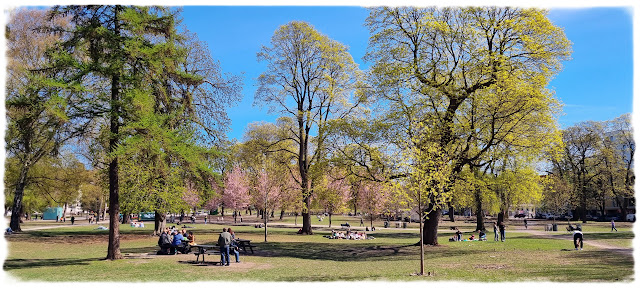 Fint når det våres i Sofienbergparken på Grünerløkka i Oslo!