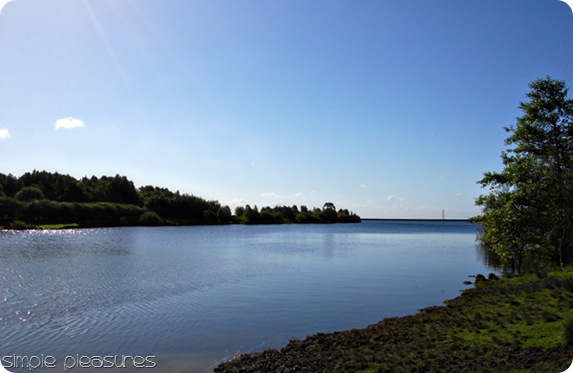 DSC_6376b