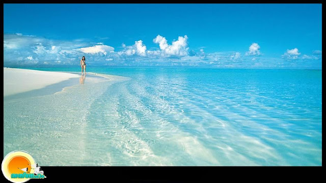 Beachside Stroll