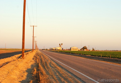DSC_0096 Bannister Road loooking east-kab