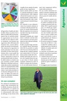 Senza titolo 2