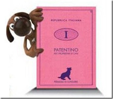 Patentino-cani
