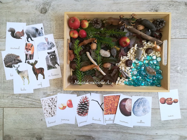 || Plateau sensoriel : Invitation à jouer avec les animaux de la forêt + Cartes de nomenclature